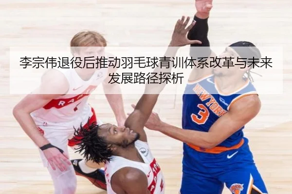 李宗伟退役后推动羽毛球青训体系改革与未来发展路径探析
